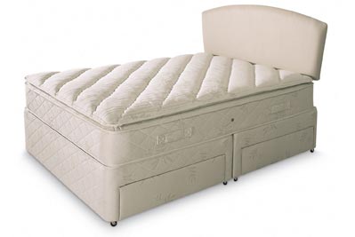 Lily_image1.jpg
