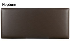 Neptune-Brown.jpg